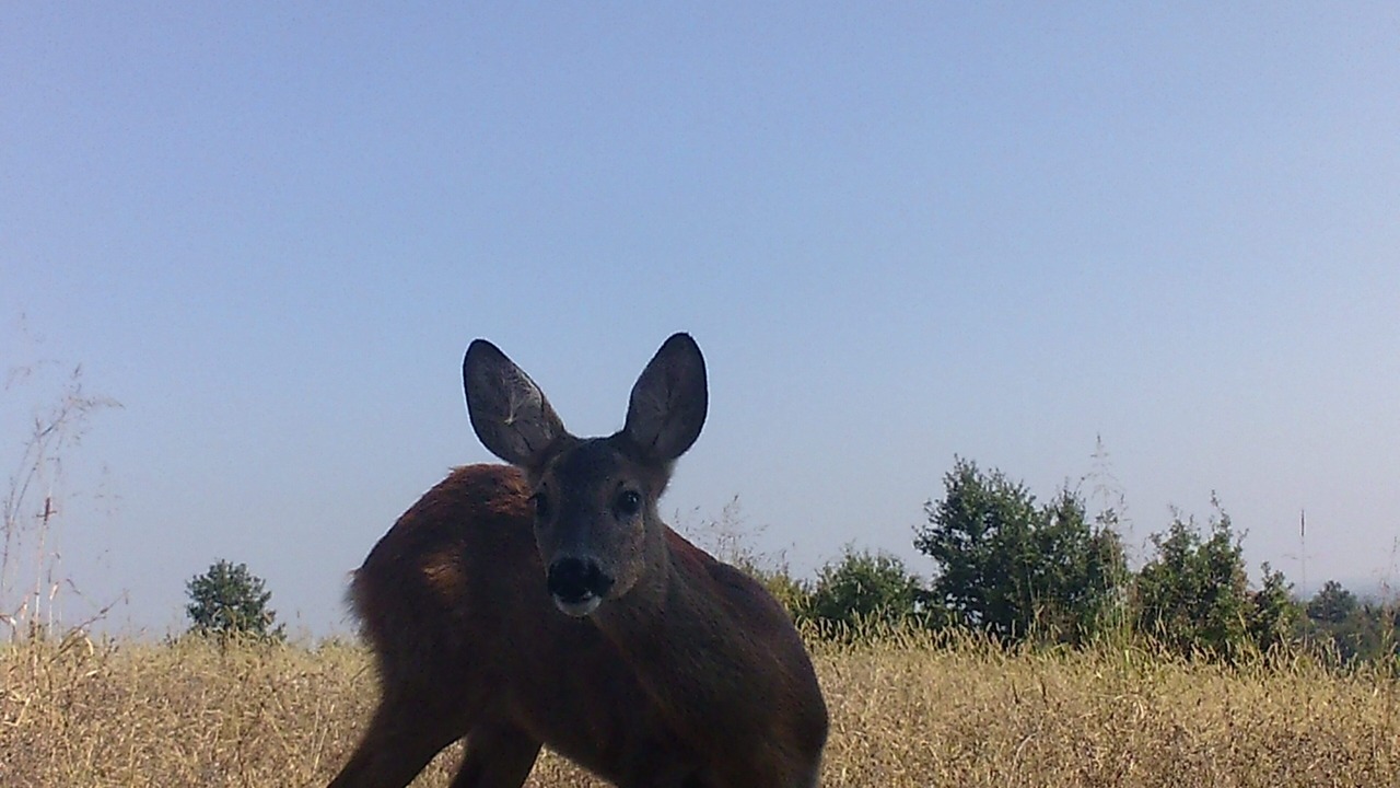 Photo of Outdoor in Lauriano
