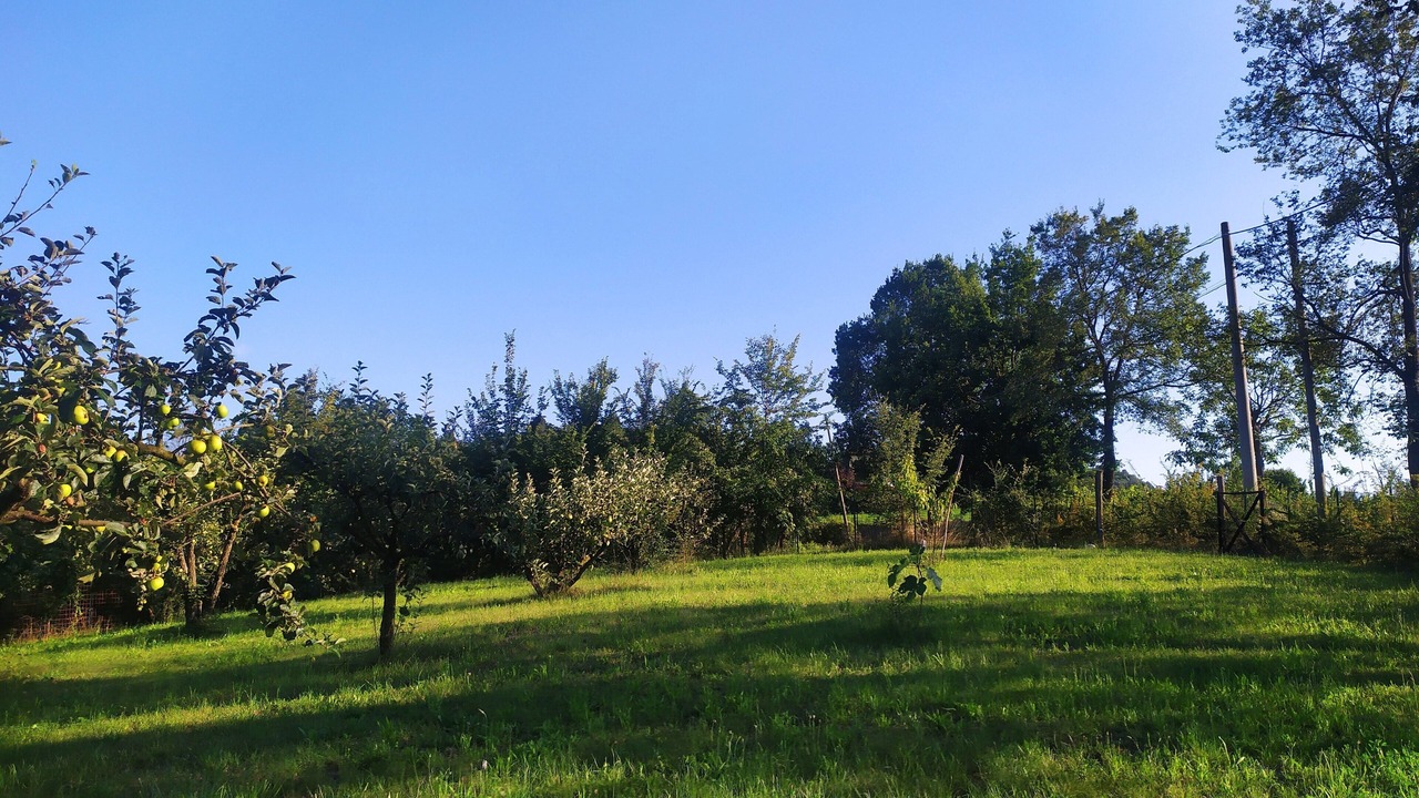 Photo of Others in Lauriano