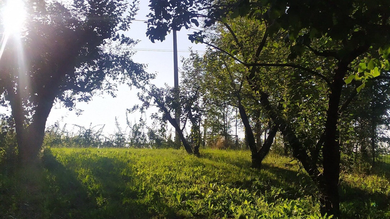 Photo of Outdoor in Lauriano