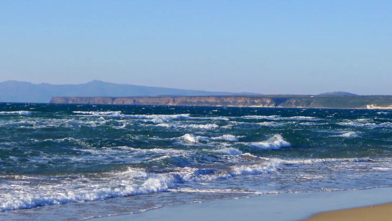 Photo of Others in Narbolia
