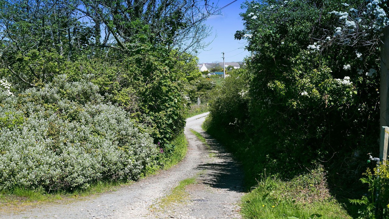 Photo of Outdoor in Rhydwyn