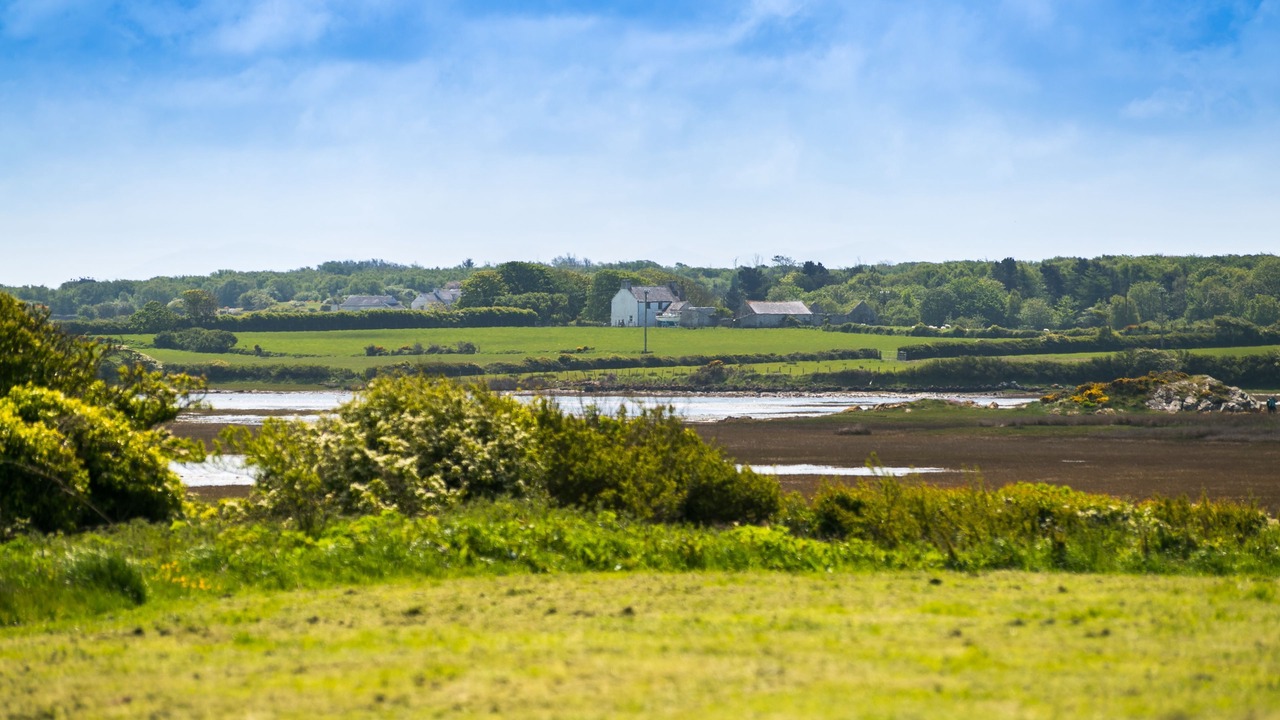 Photo of Others in Rhoscolyn