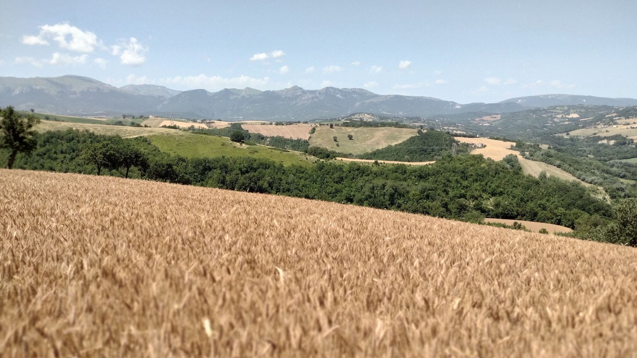 Photo of Others in Monte San Martino
