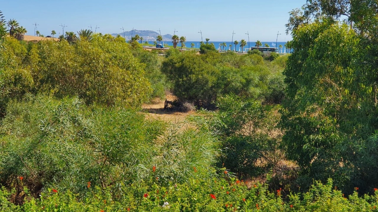 Photo of Outdoor in Fnideq