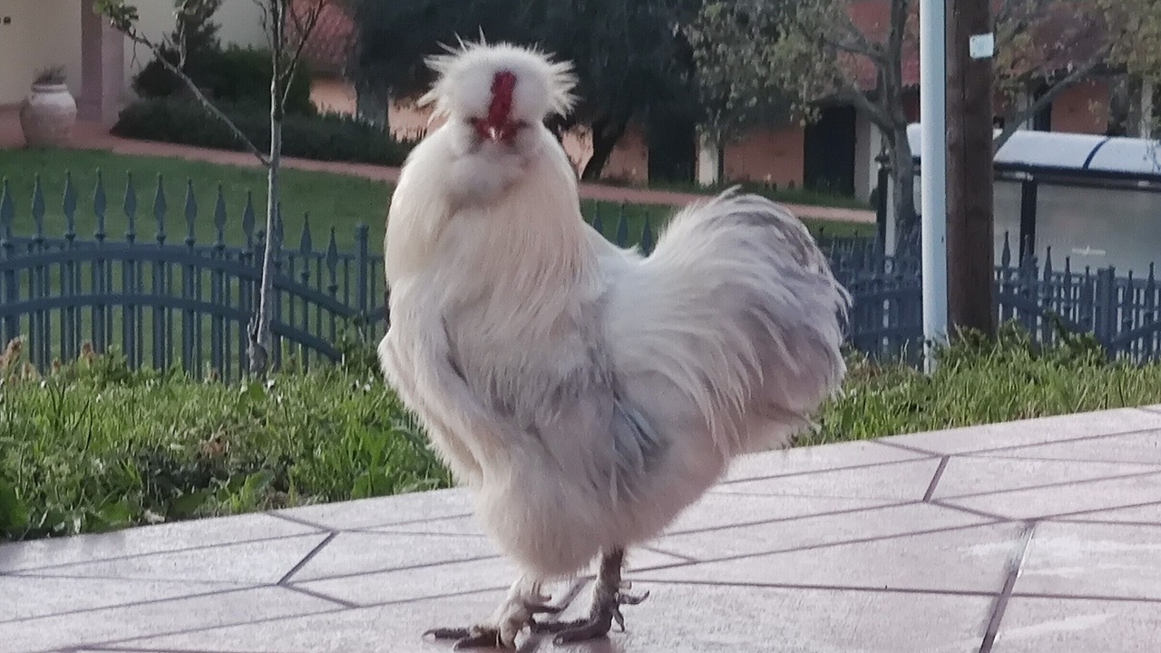 Photo of Outdoor in Torriana