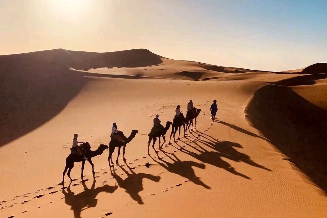Photo of Others in Rissani