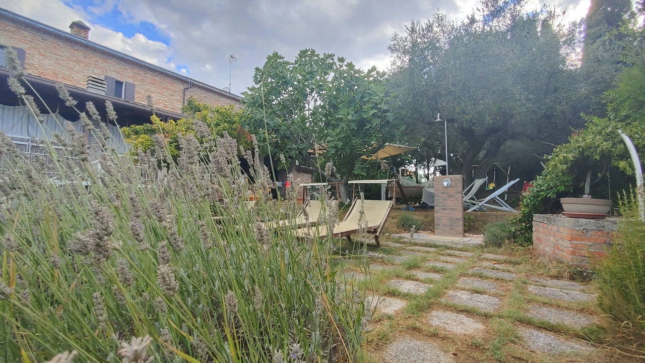 Photo of Outdoor in Misano Monte