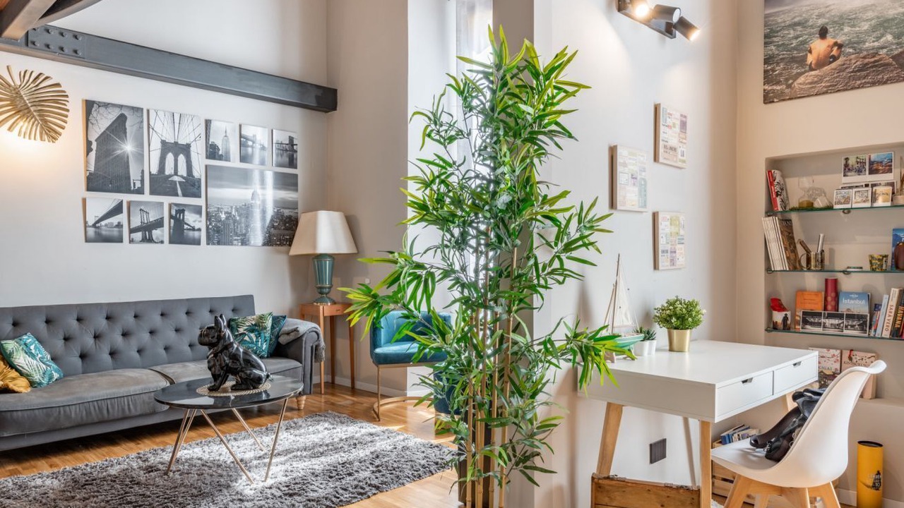 Photo of Livingroom in Venezia Nuova