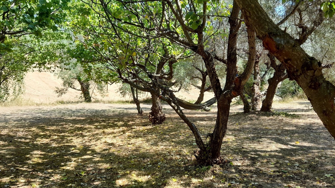 Photo of Others in Ortezzano