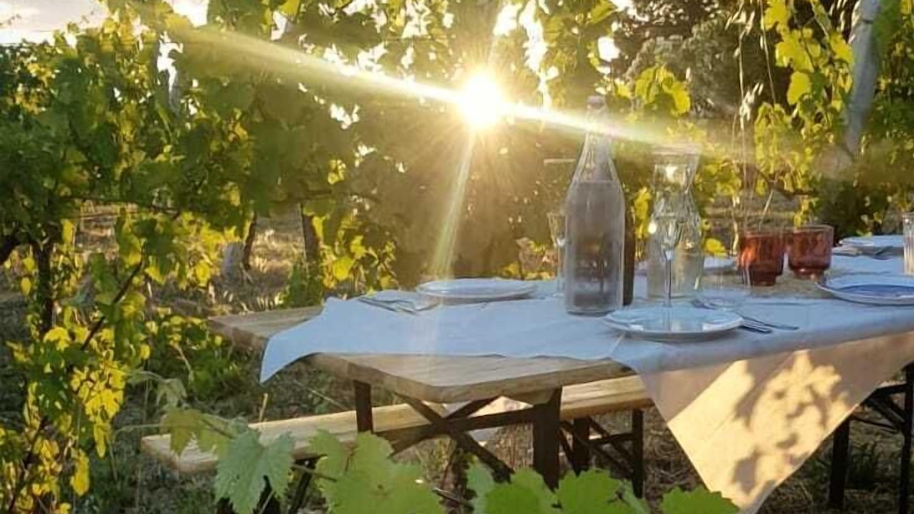 Photo of Others in Ortezzano