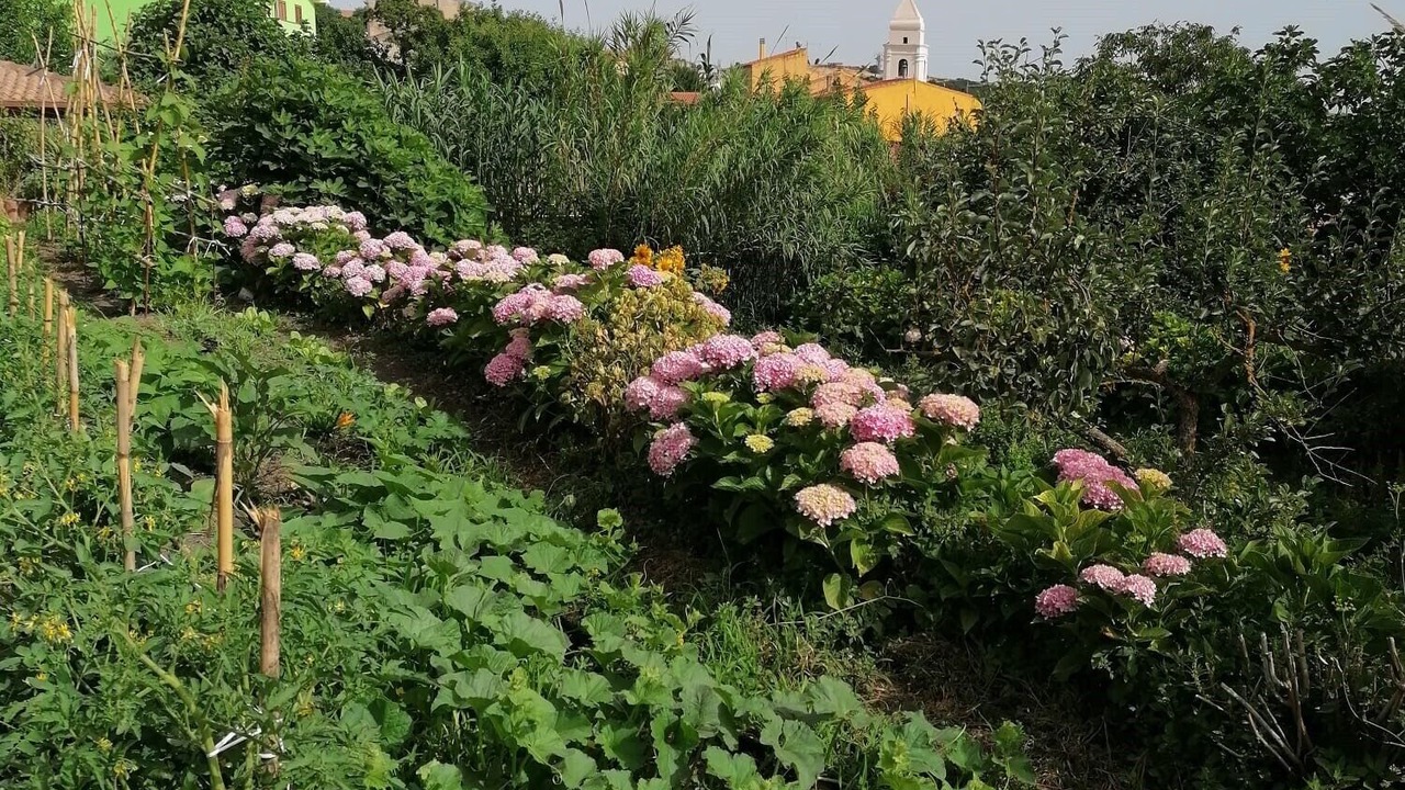 Photo of Outdoor in Villanova Monteleone