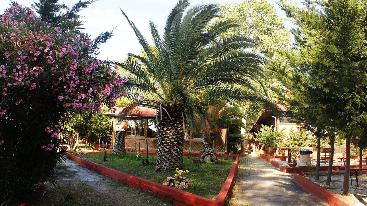 Photo of Outdoor in Palagiano