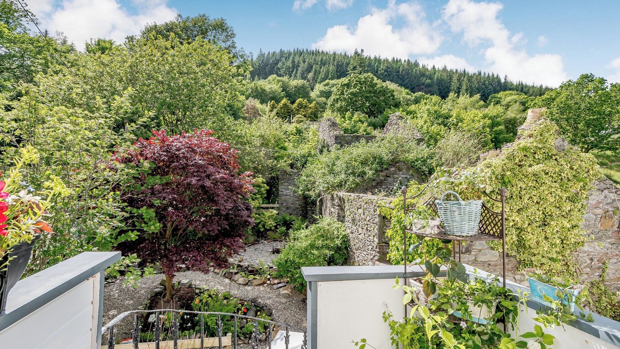 Photo of Outdoor in Kilmun