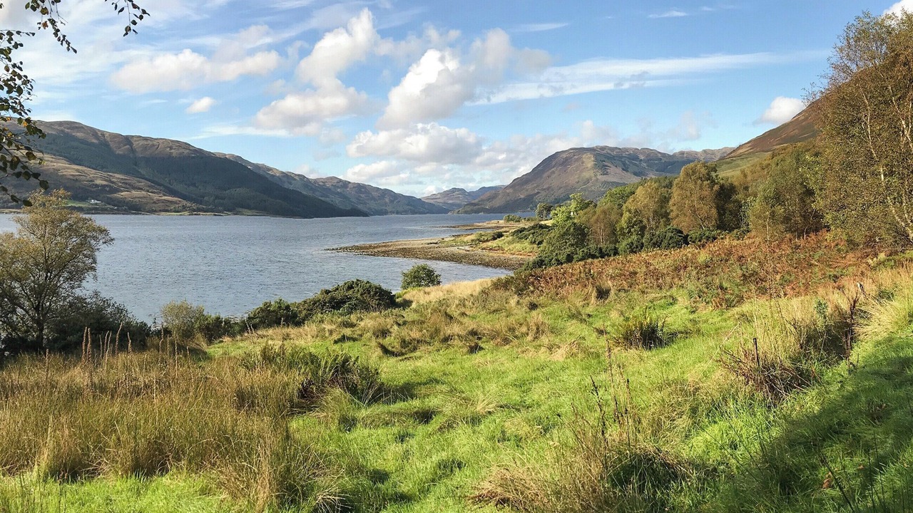Photo of Others in Kilmun