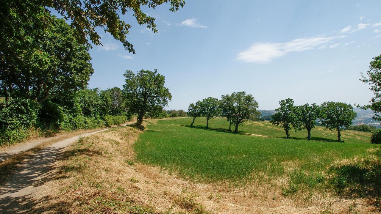 Photo of Others in Montecopiolo