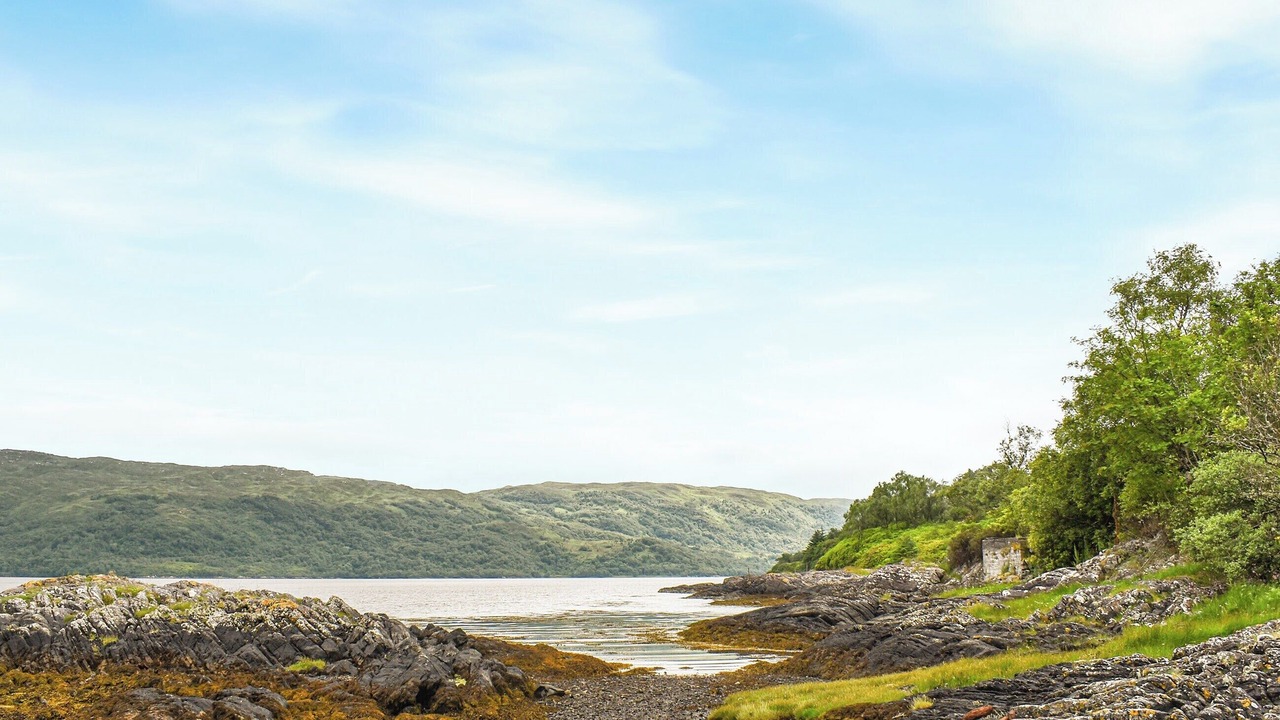 Photo of Others in Salen