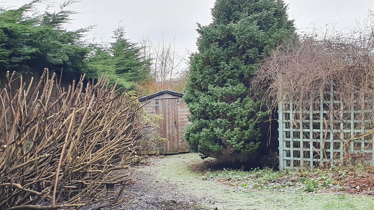 Photo of Outdoor in Falkland