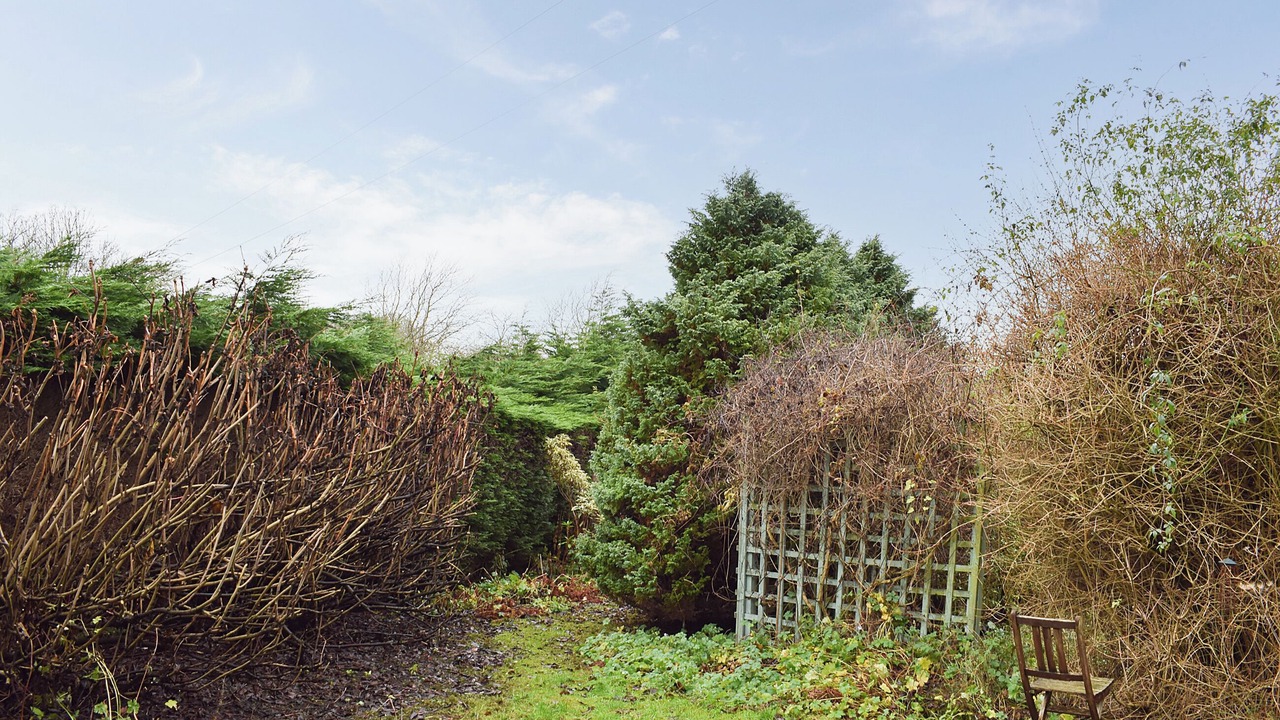 Photo of Outdoor in Falkland