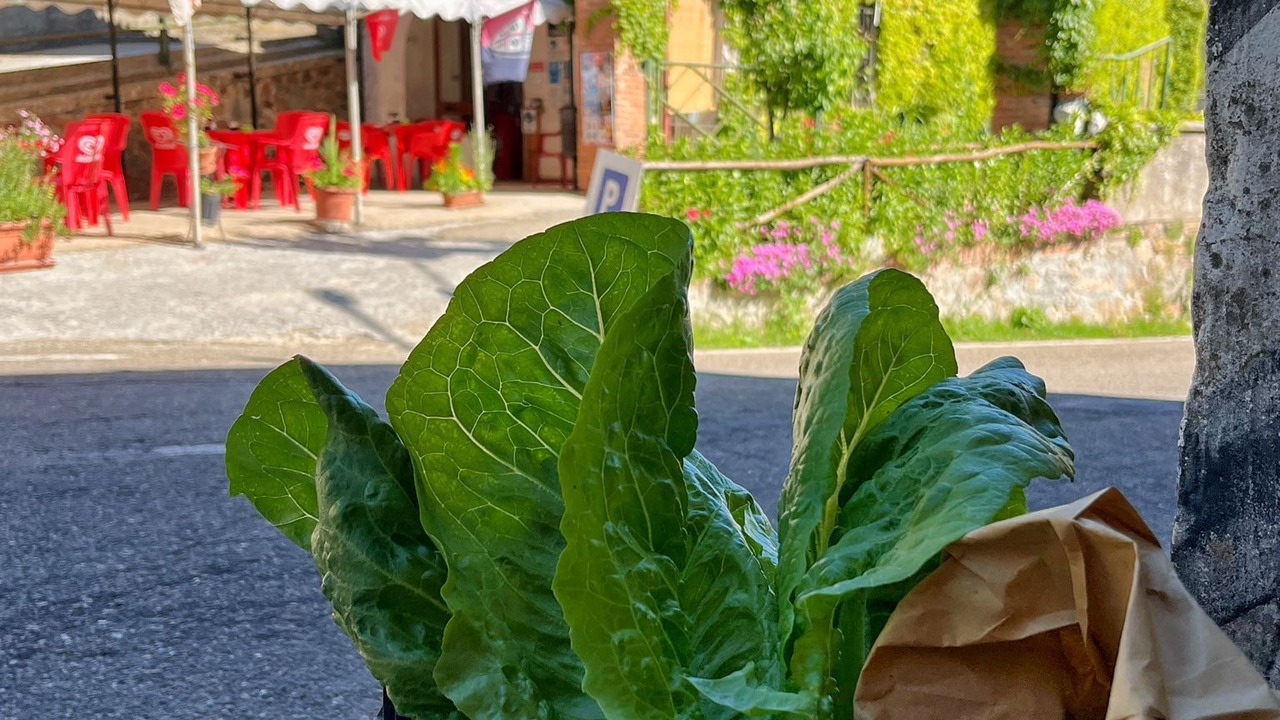 Photo of Outdoor in Montecani