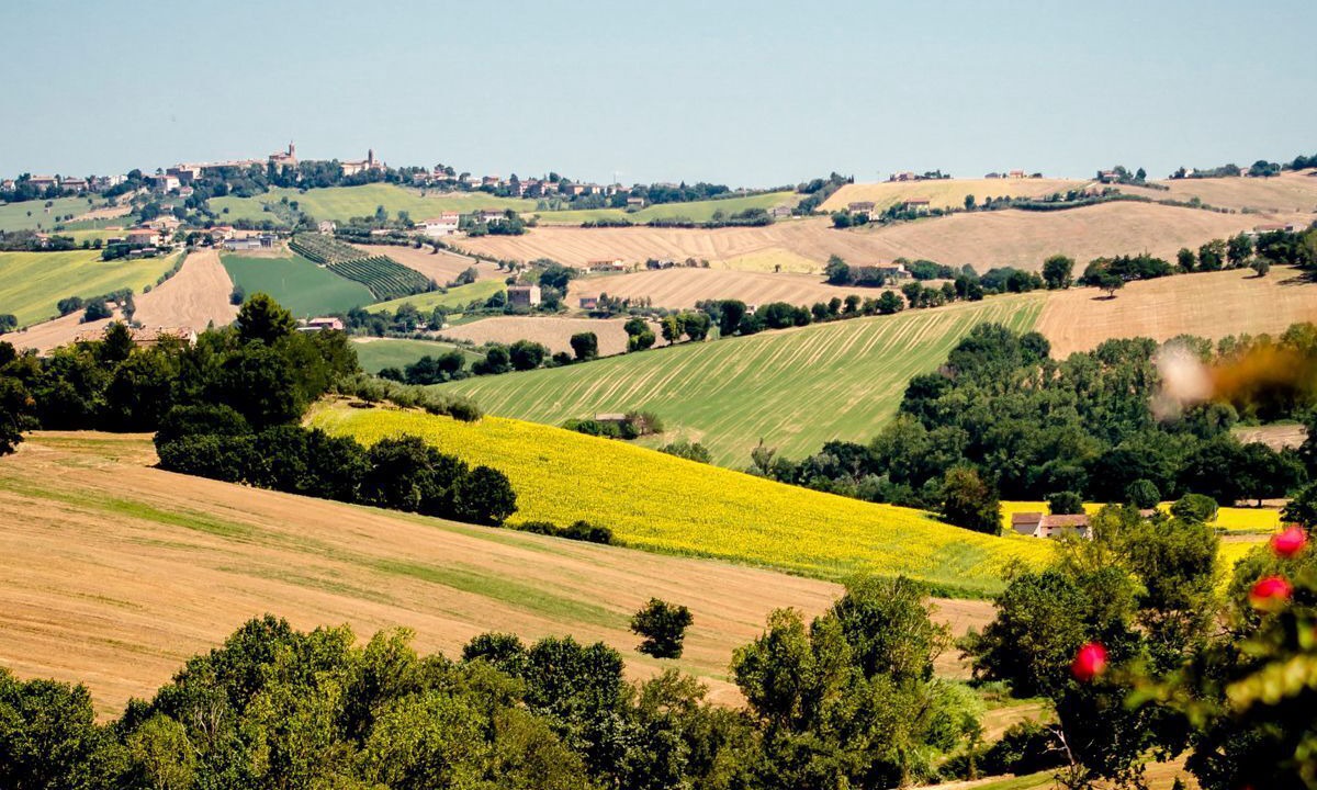 Photo of Others in Ostra Vetere