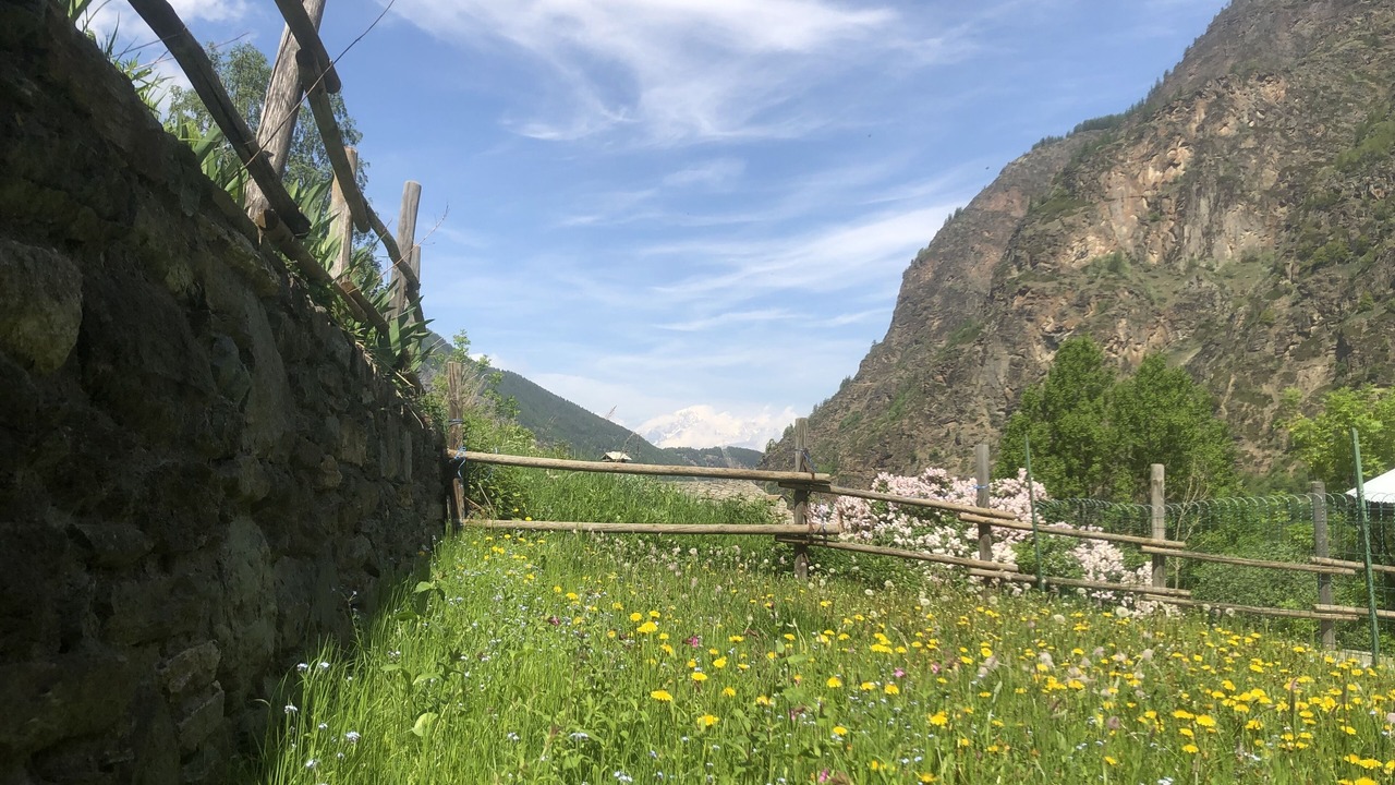 Photo of Outdoor in Aymavilles