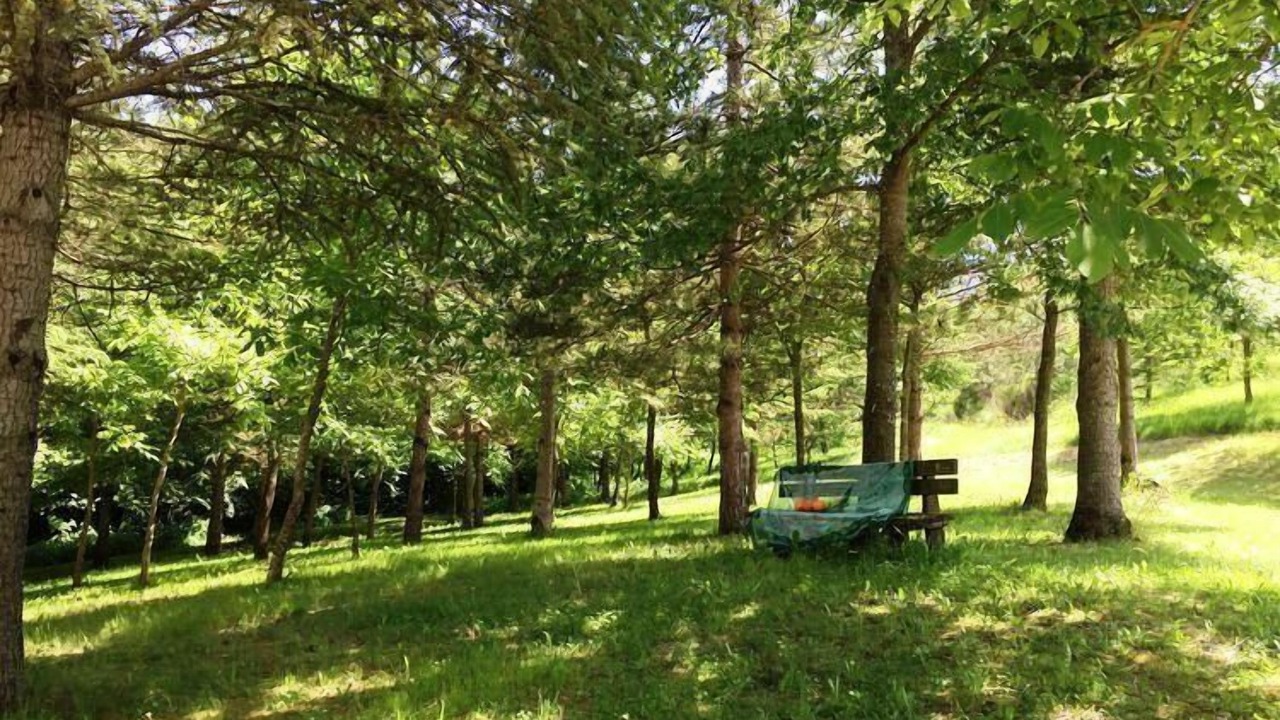 Photo of Outdoor in Apecchio