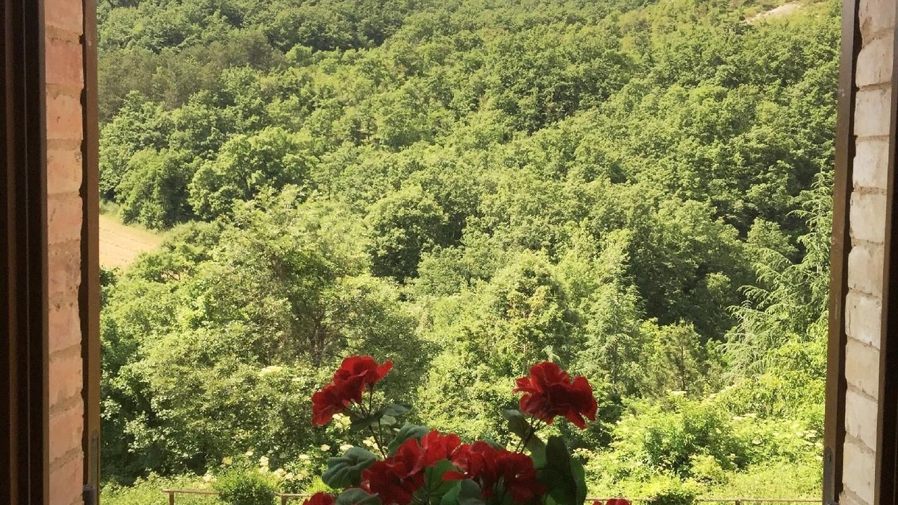 Photo of Others in Apecchio