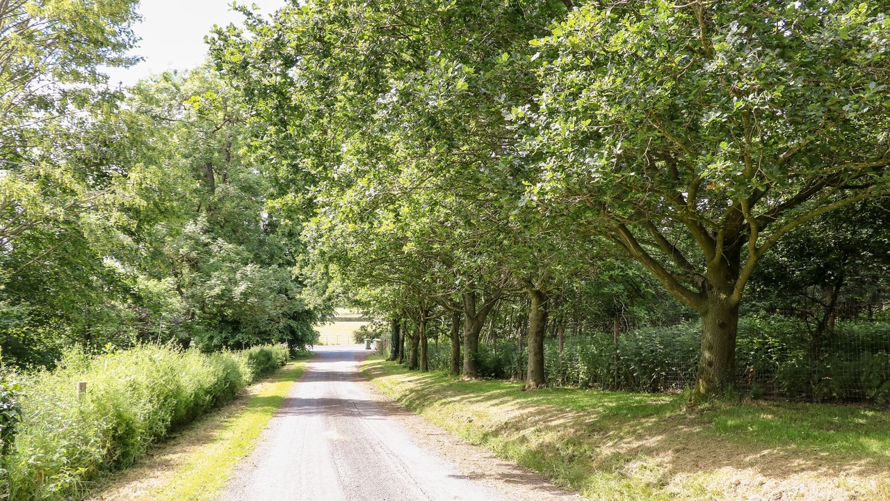 Photo of Outdoor in Newry