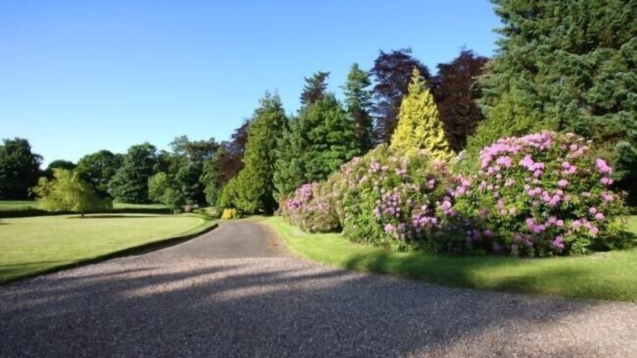Photo of Outdoor in Aberargie