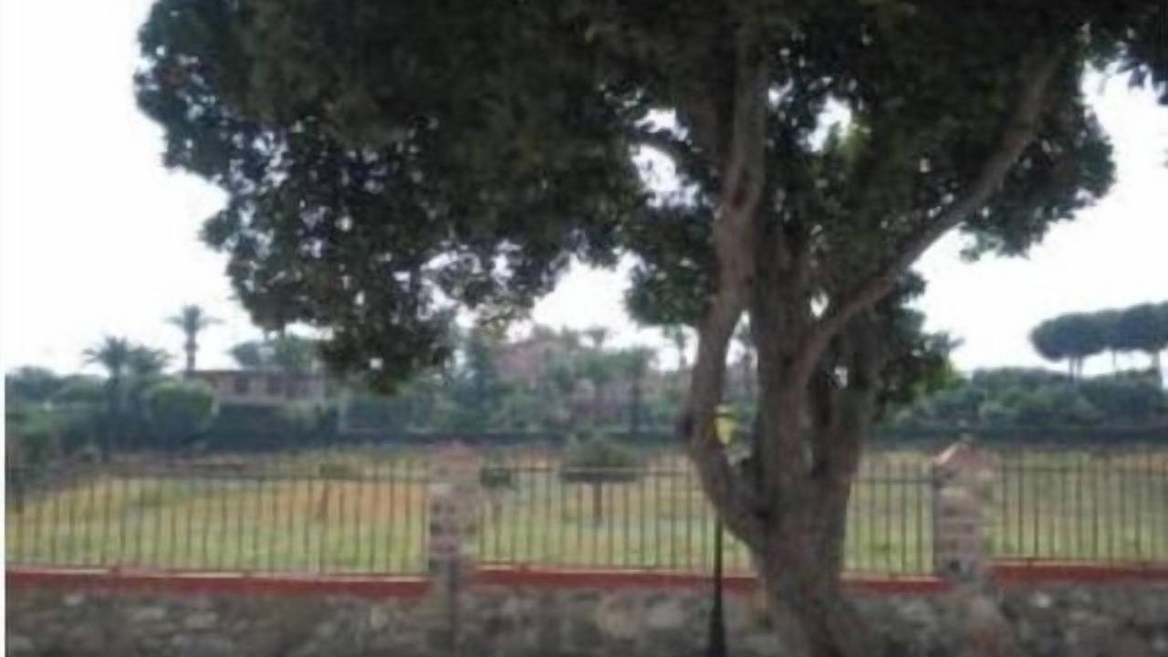 Photo of Outdoor in Santa Marinella