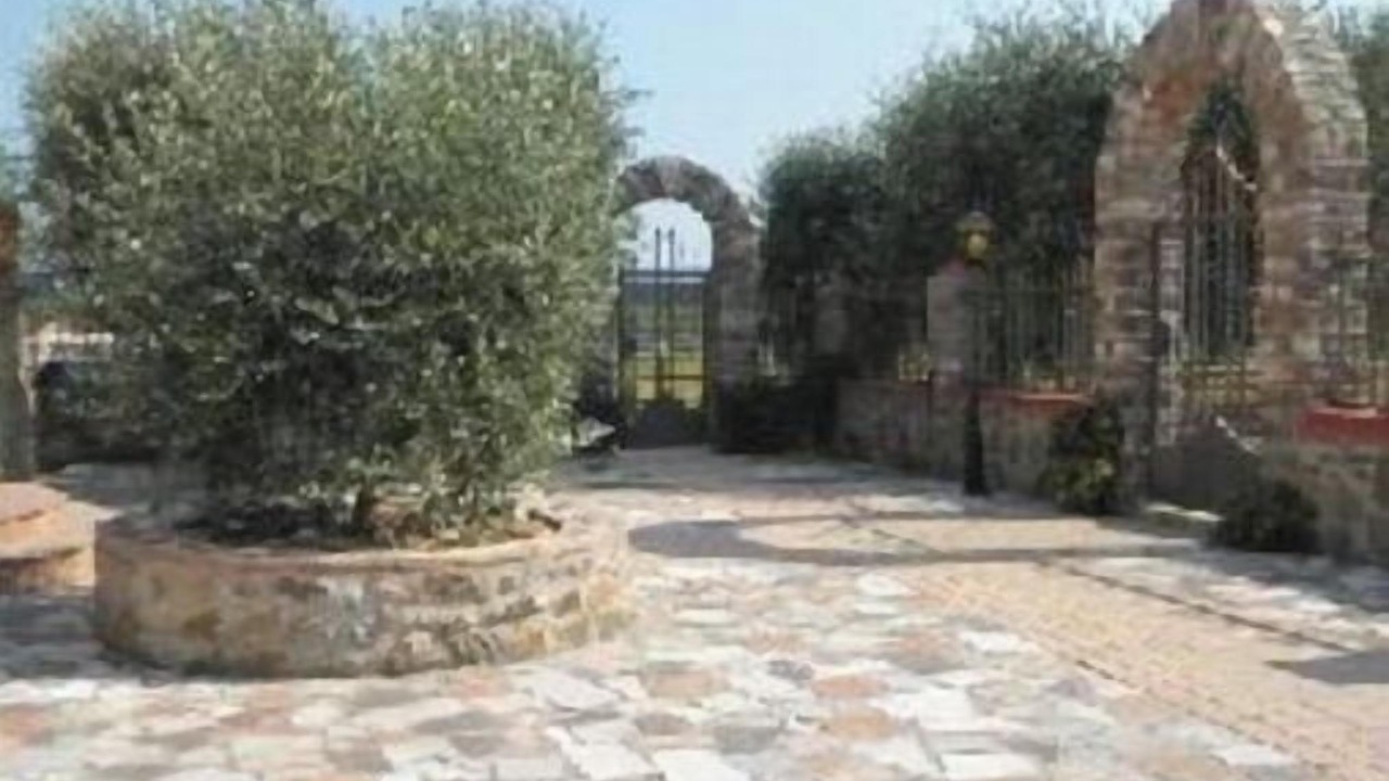Photo of Outdoor in Santa Marinella