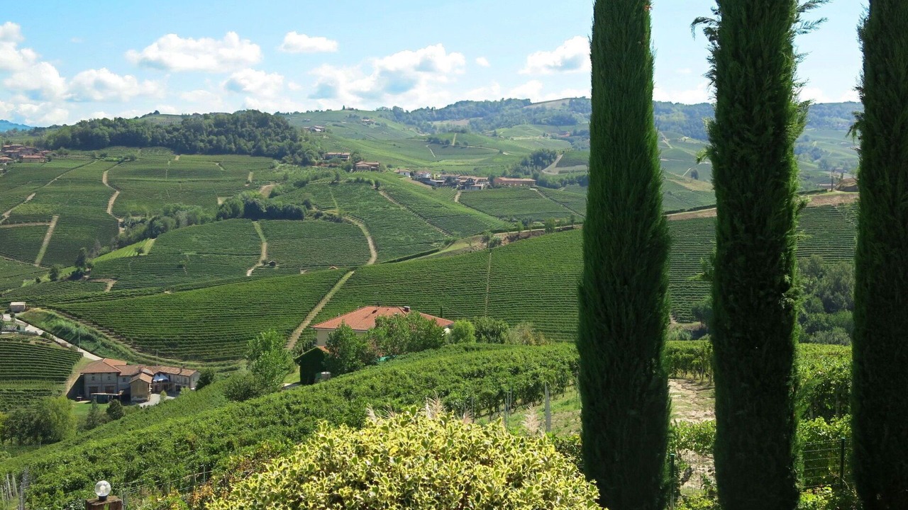 Photo of Others in Barolo