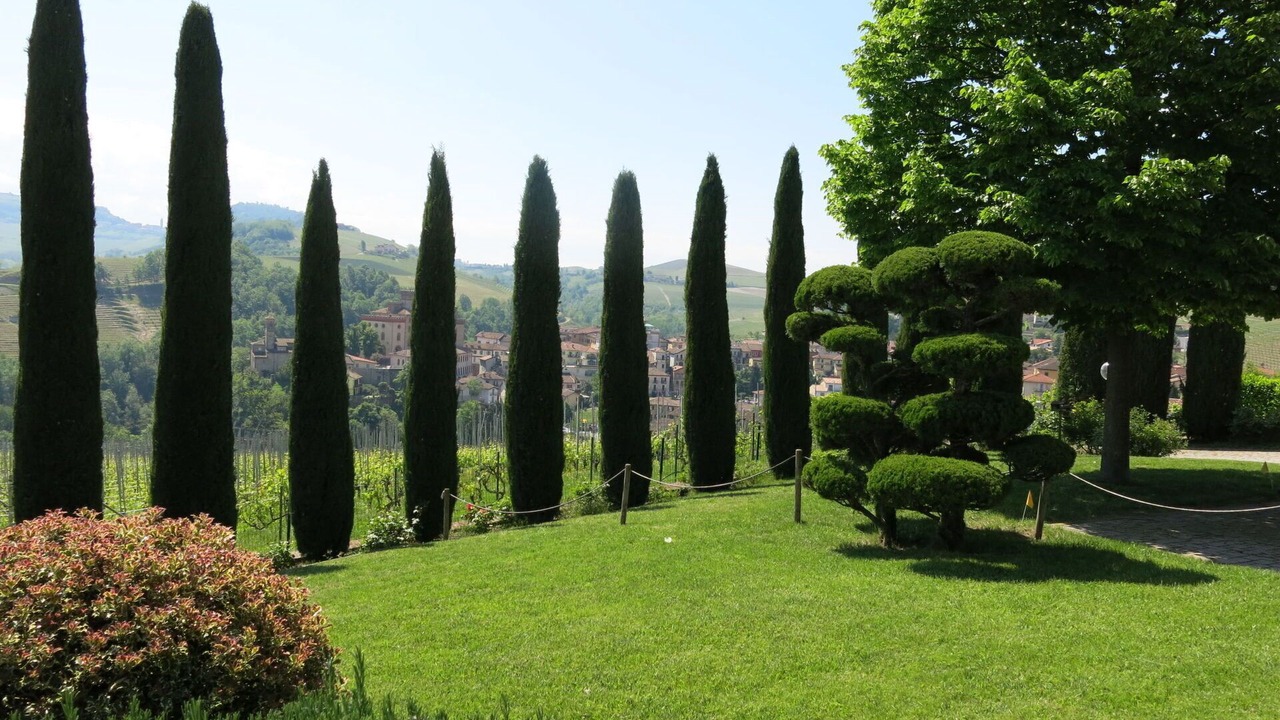 Photo of Others in Barolo