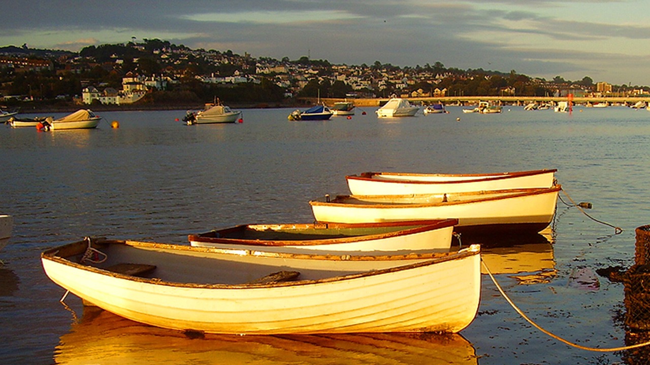 Photo of Others in Shaldon