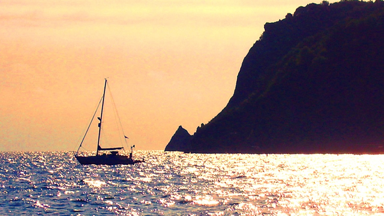 Photo of Others in Shaldon
