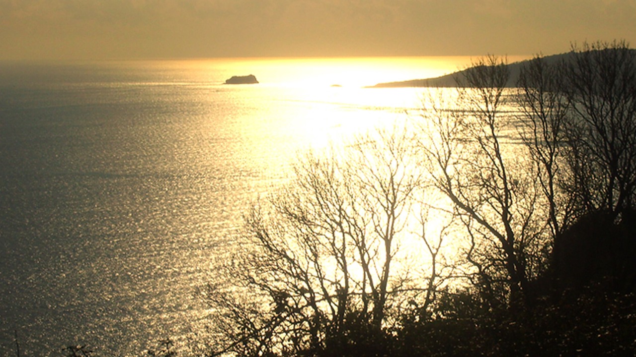 Photo of Others in Shaldon