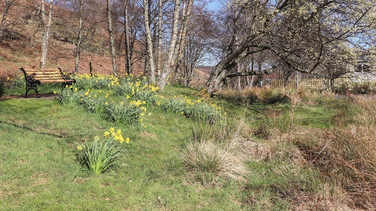 Photo of Outdoor in Newtonmore