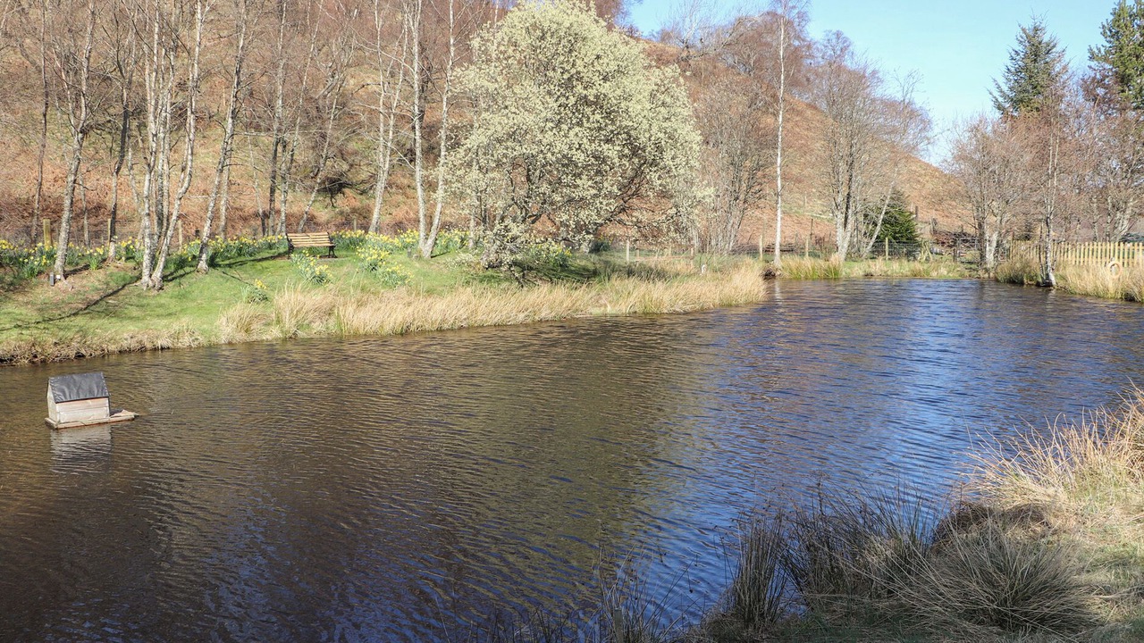 Photo of Outdoor in Newtonmore