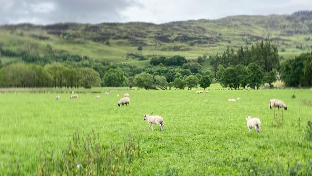 Photo of Outdoor in Fort Augustus