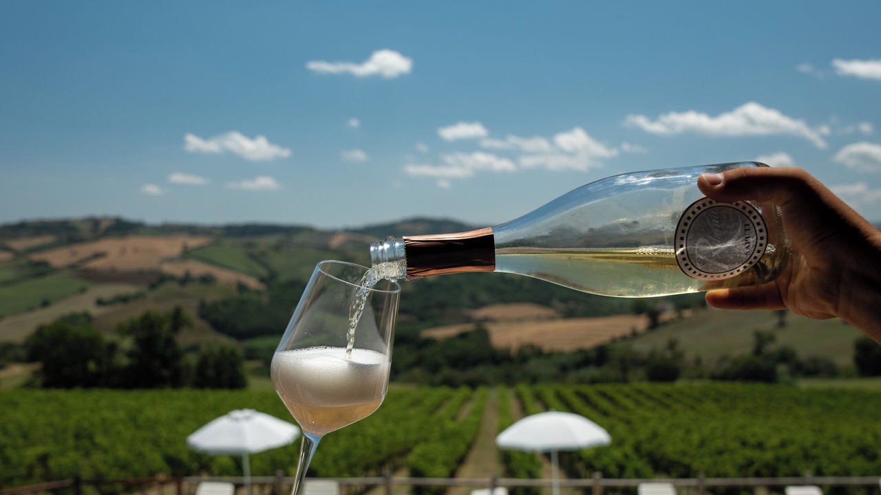 Photo of Outdoor in Loro Piceno