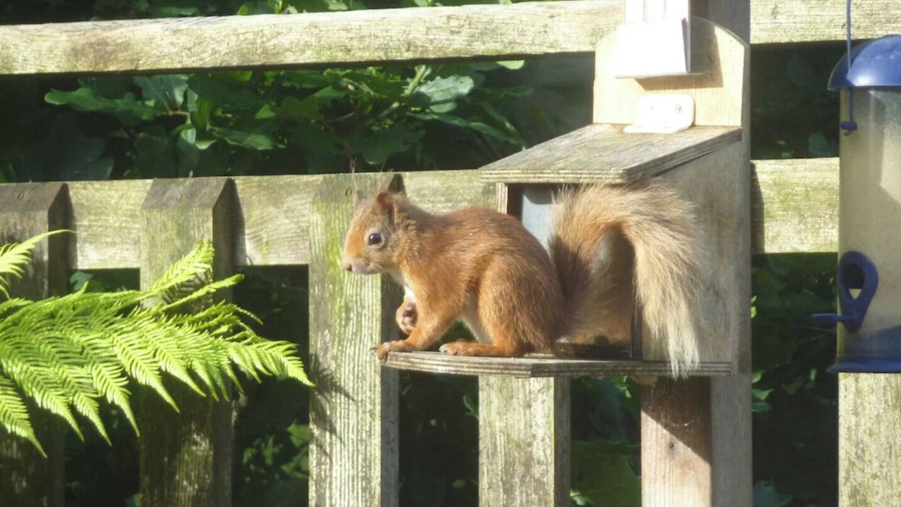Photo of Others in Murthly
