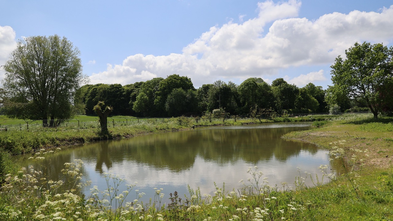 Photo of Outdoor in Norwich