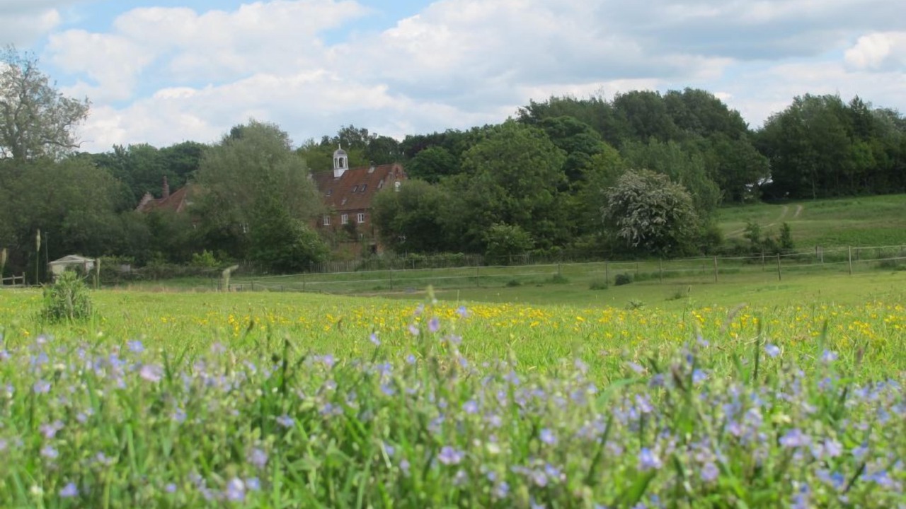 Photo of Outdoor in Norwich