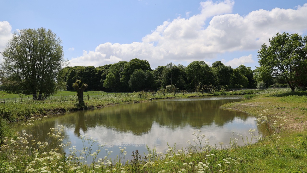 Photo of Outdoor in Spixworth