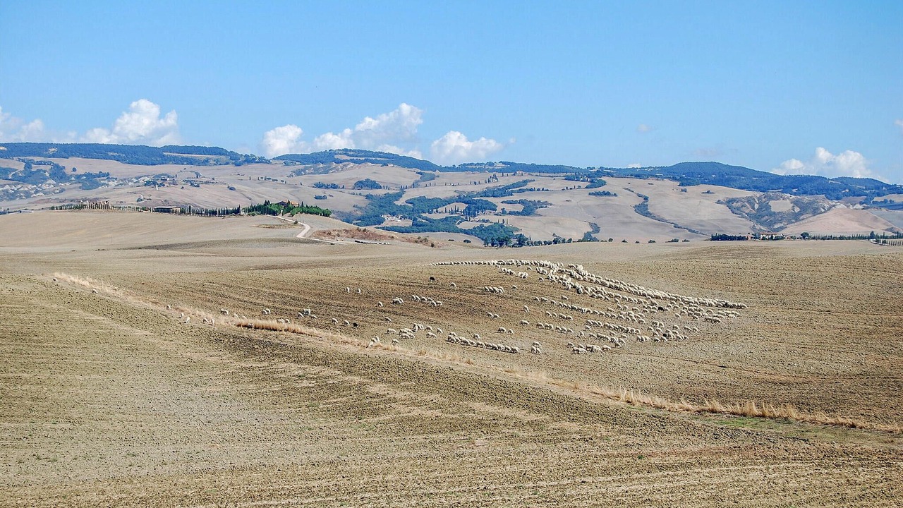 Photo of Others in Chianciano Terme