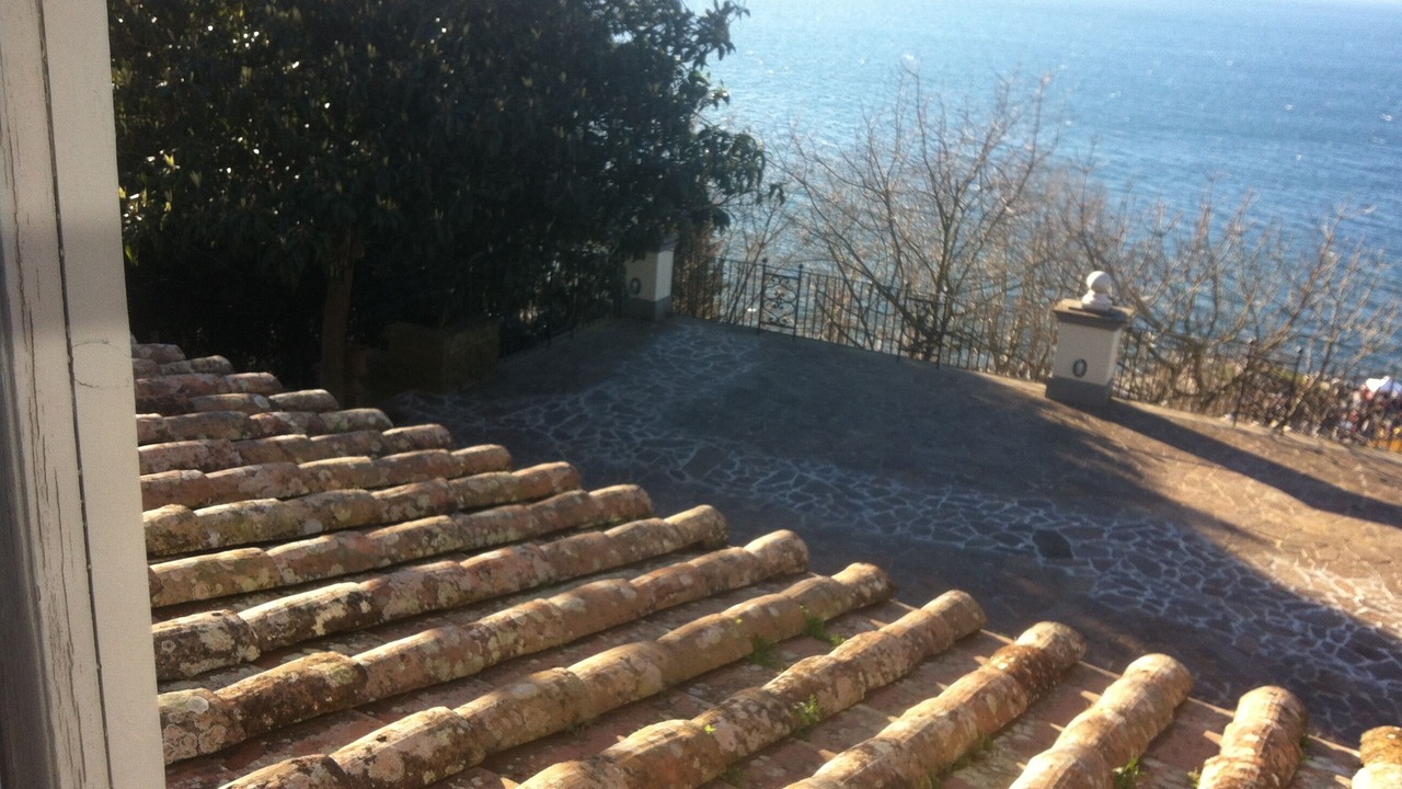Photo of Others in Lake Bracciano