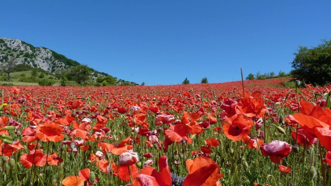Photo of Outdoor in Gamberale