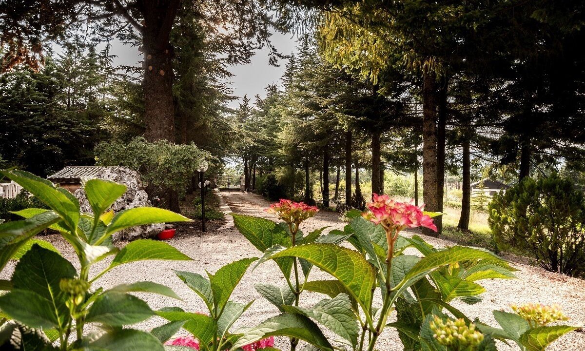 Photo of Outdoor in Pignola