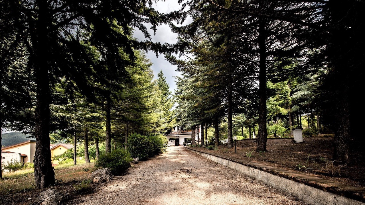 Photo of Outdoor in Pignola
