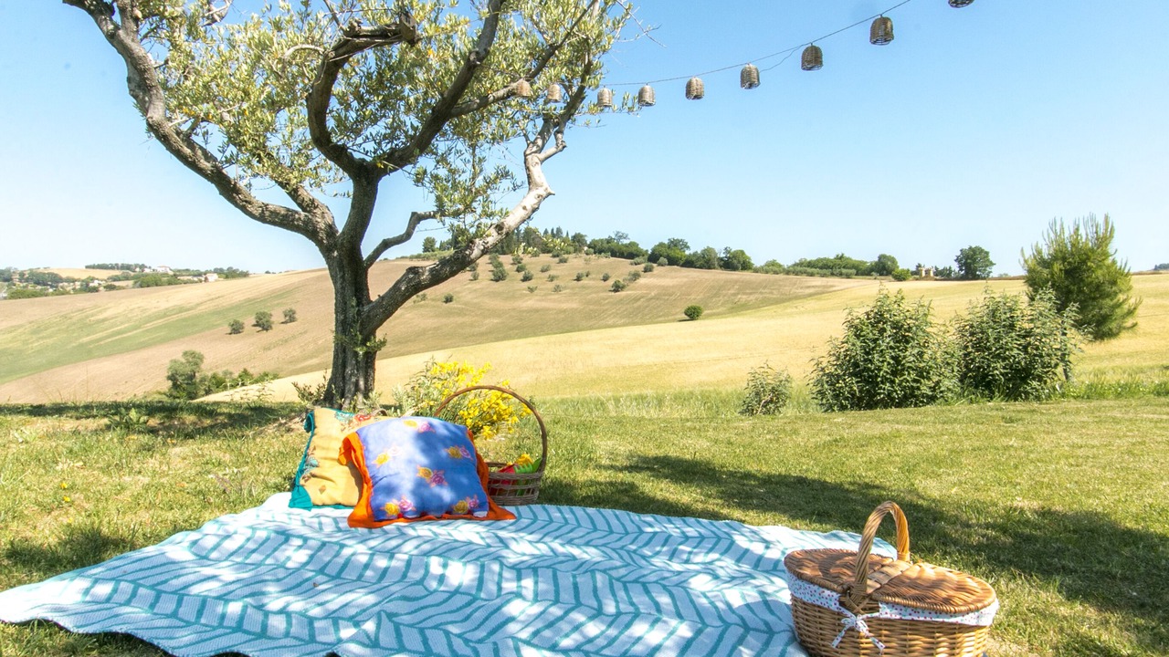 Photo of Outdoor in Morrovalle